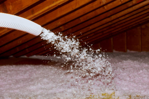 Professional Insulation Contractor in MD