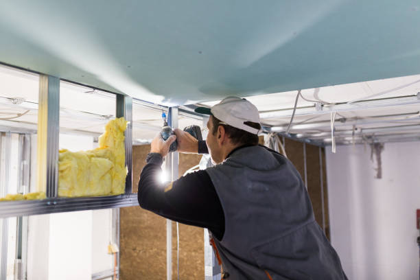 Best Insulation Installation Services in District Heights, MD