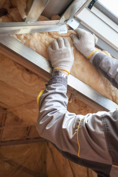 Best Insulation Materials and Products in District Heights, MD